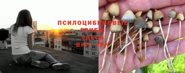 марки nbome Кодинск