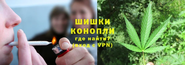 сатива Козловка