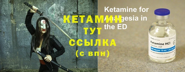 сатива Козловка