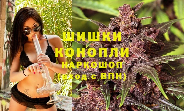 стафф Киреевск