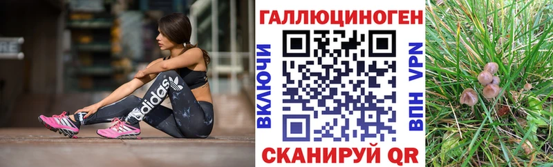 наркошоп  Городище  Галлюциногенные грибы Magic Shrooms 